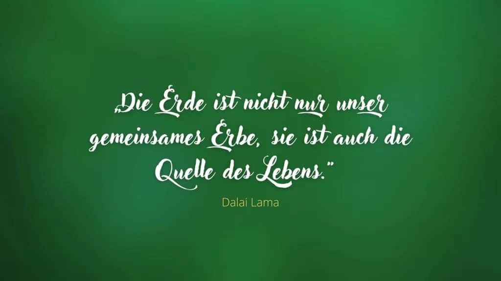 Nachhaltigkeit Zitate: Inspirierende Worte für eine grüne Zukunft