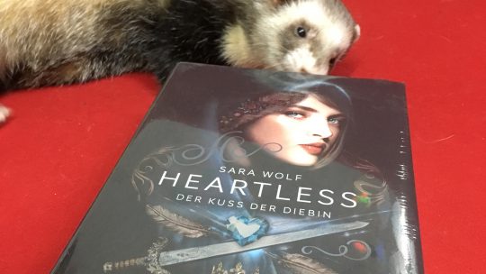 Heartless – Der Kuss der Diebin