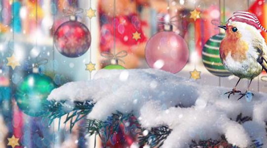 Frohe Weihnacht überall!